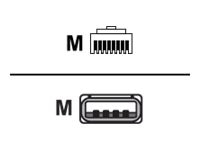 Extreme Networks serial console cable - 6 ft