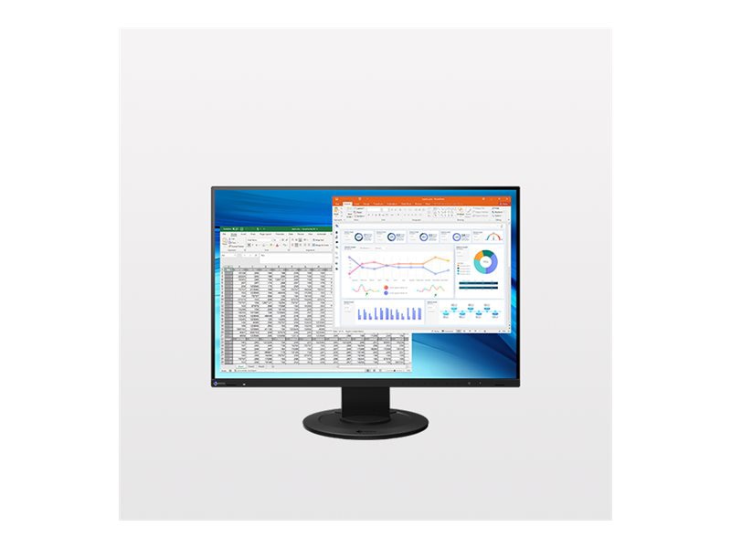 EIZO FlexScan EV2410R-SCBK - with FlexStand - LED monitor - WUXGA - 24"