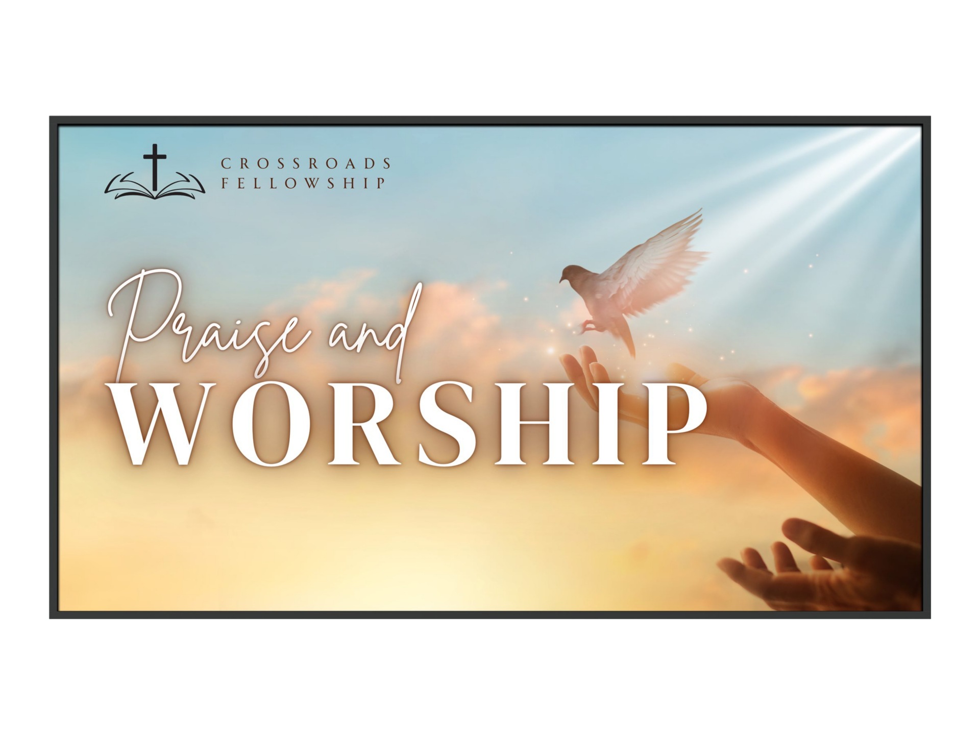 Planar SLE65 Simplicity E Series - 65" LED-backlit LCD display - 4K - for d