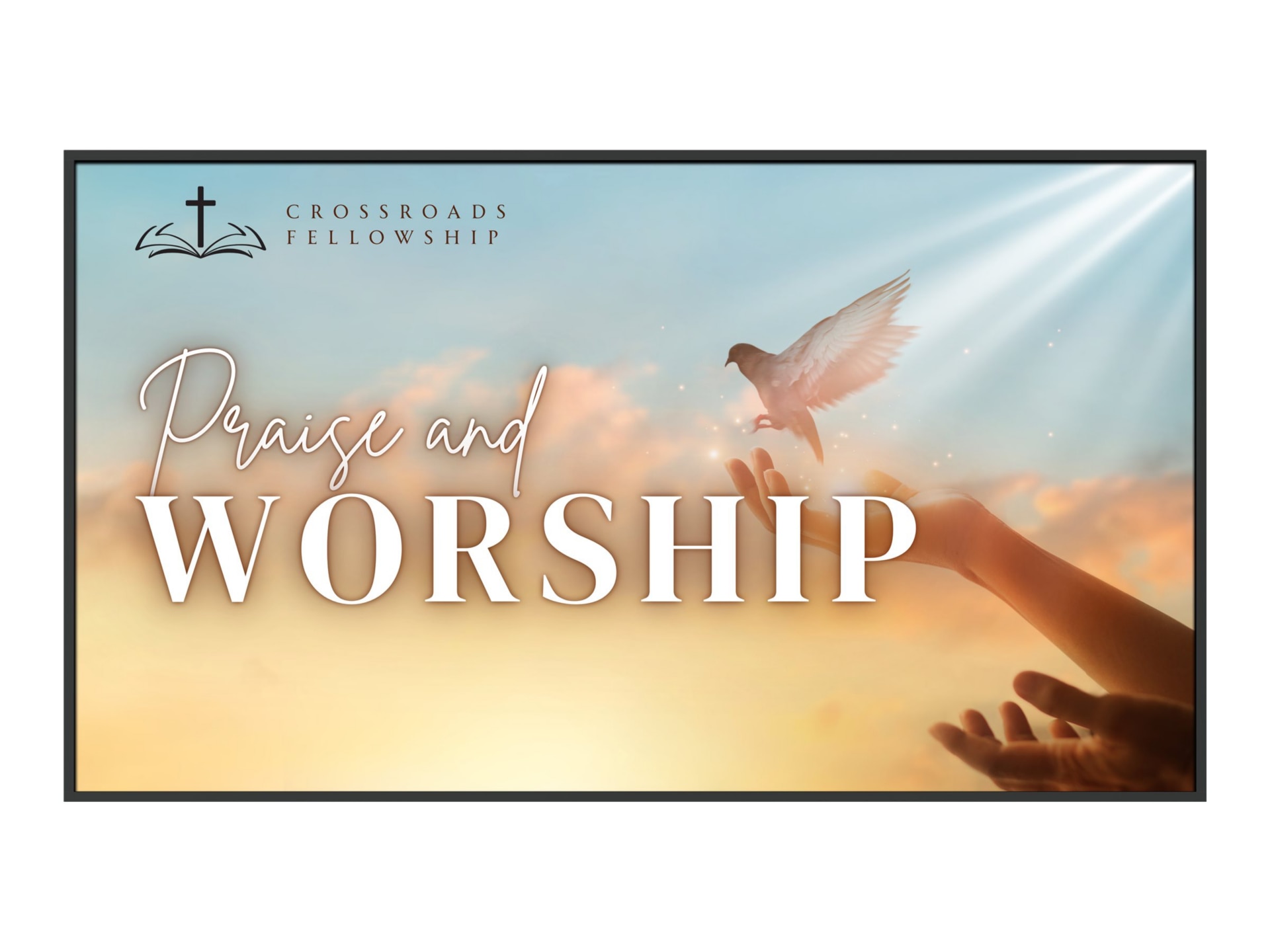 Planar SLE86 Simplicity E Series - 86" LED-backlit LCD display - 4K - for d