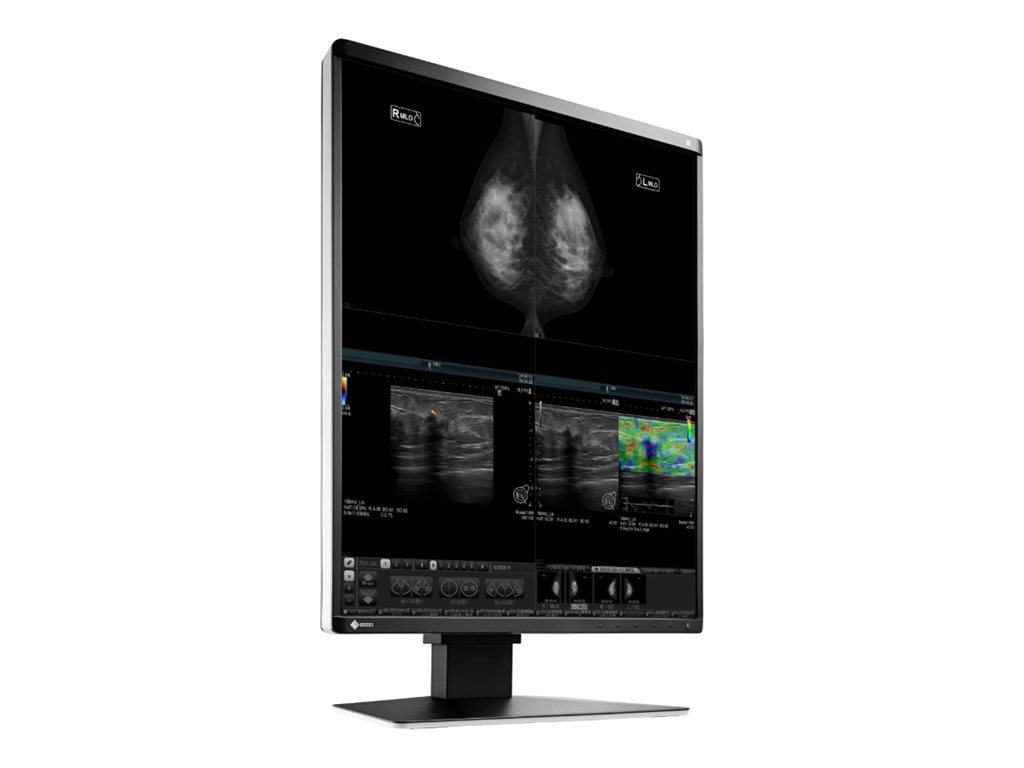 EIZO RadiForce RX570-BK - LED monitor - 21.3"