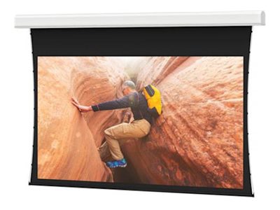 Da-Lite Tensioned Advantage Series projection screen - 298" (298 in) - TAA