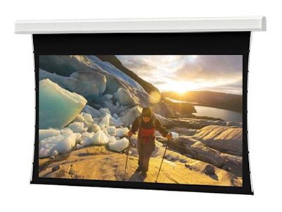 Da-Lite Tensioned Advantage Series projection screen - 226" (226 in) - TAA