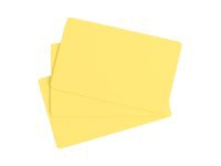 Evolis - cards - glossy - 100 card(s) -