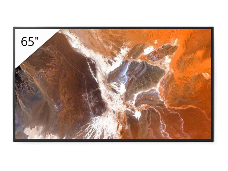 Sony Bravia Professional Displays FW-65BZ30P BZ30P Series - 65" LED-backlit