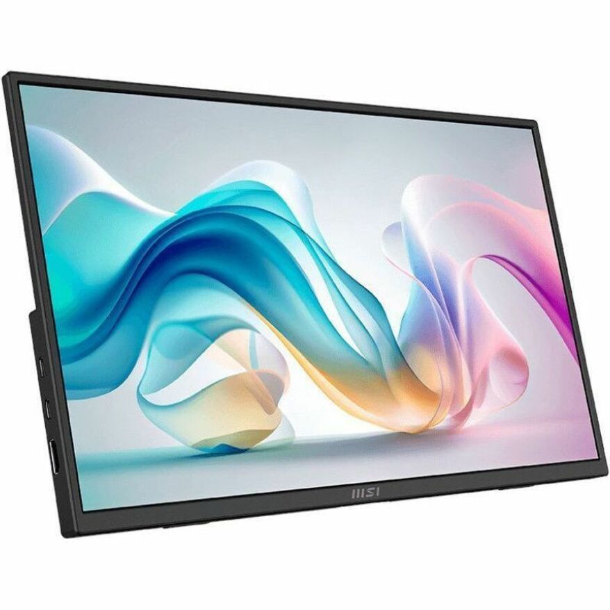 MSI Pro MP165 E6 - ProMP165E6 - Portable Productivity Monitor - 15.6" FHD I