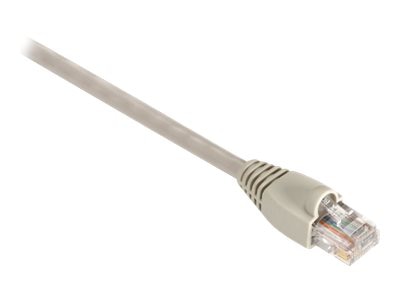 Black Box GigaBase 350 - patch cable - 10 ft - beige