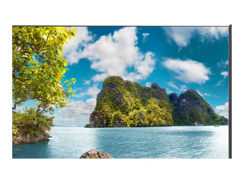 Sharp MultiSync PN-UN553S 55" Class (54.6" viewable) LED-backlit LCD displa