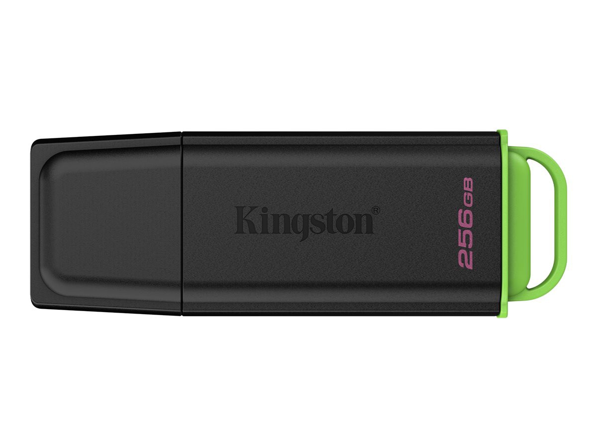 Kingston DataTraveler Exodia - USB flash drive - 256 GB