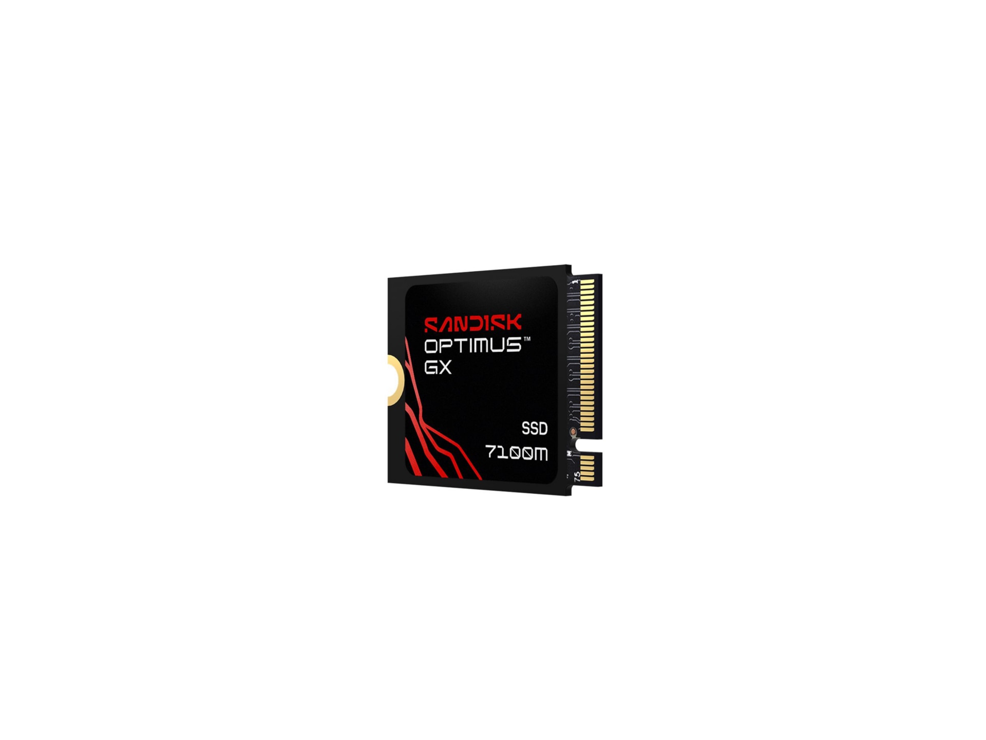 SanDisk Optimus GX 7100M - SSD - 1 TB - PCIe 4.0 x4 (NVMe)
