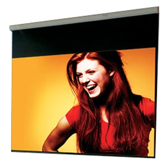 Draper Luma Projection Screen