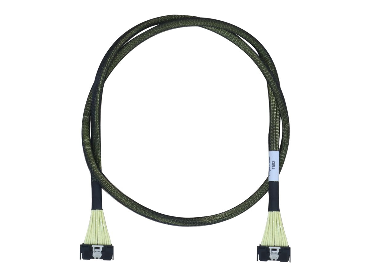 HighPoint SATA / SAS cable - 3.3 ft
