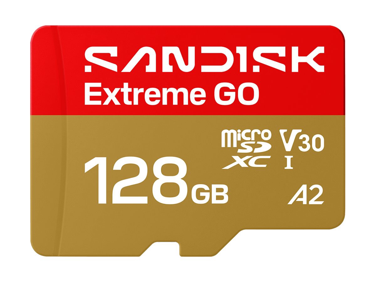 SanDisk Extreme Go - flash memory card - 128 GB - microSDHC UHS-I