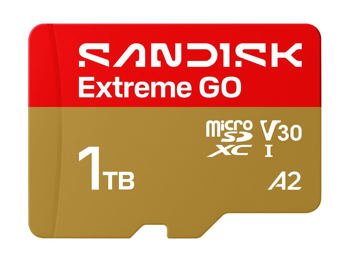 SanDisk Extreme Go - flash memory card - 1 TB - microSDHC UHS-I