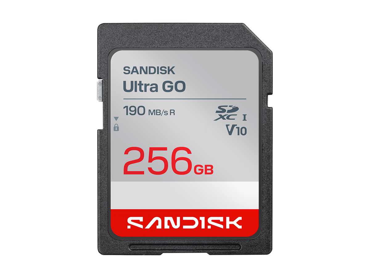 SanDisk Ultra GO - flash memory card - 256 GB - SDXC UHS-I