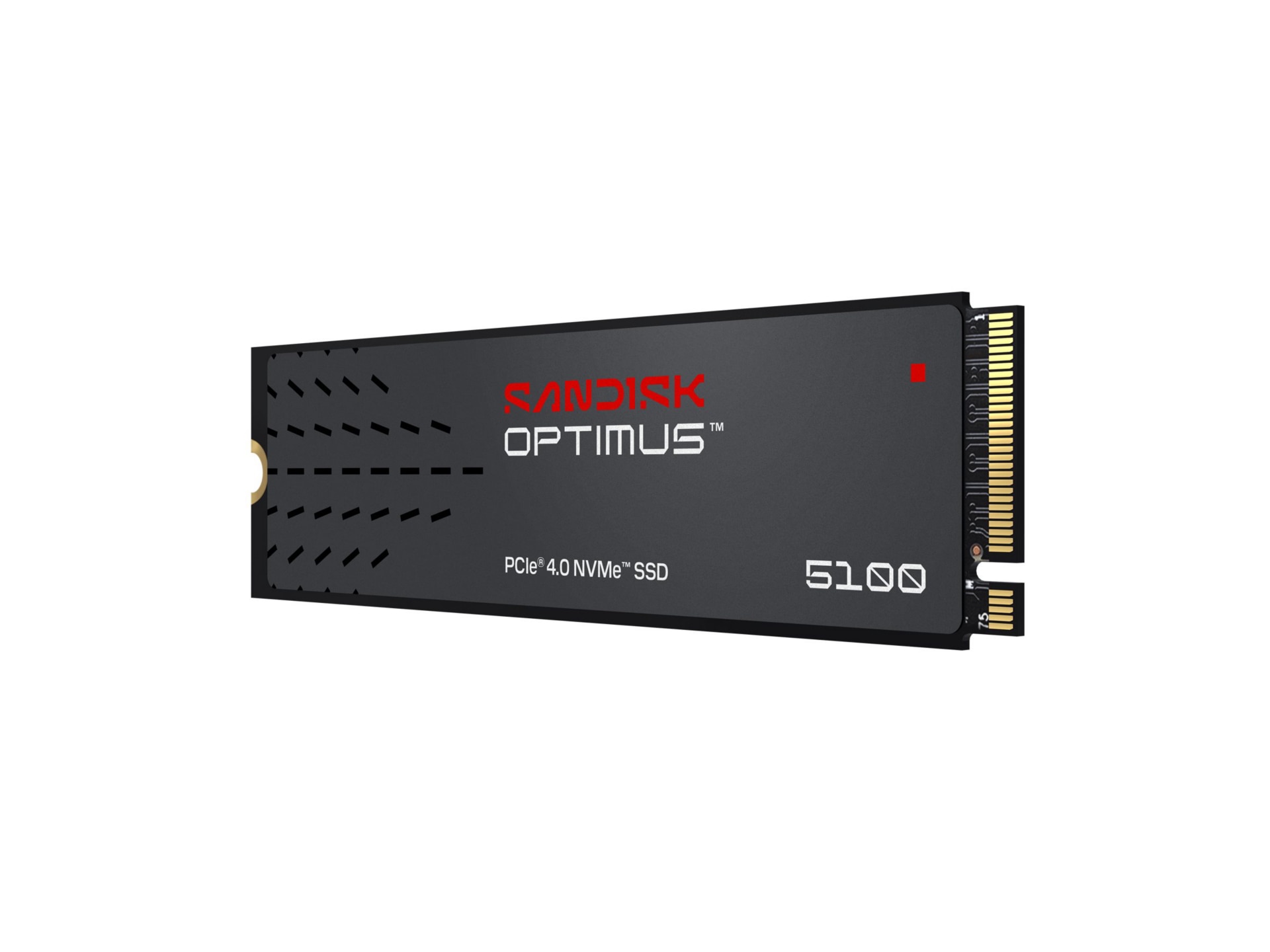 SanDisk Optimus 5100 - SSD - 500 GB - PCIe 4.0 x4 (NVMe)