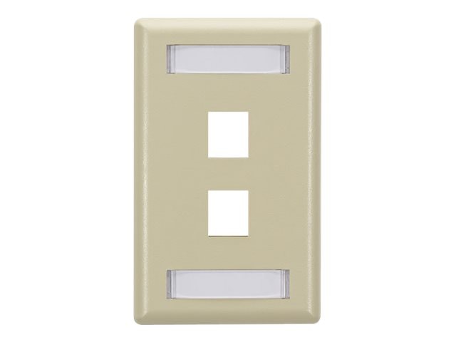 Black Box Gigastation 2, Ivory 2-Port Single Gang Keystone Wallplate, Label