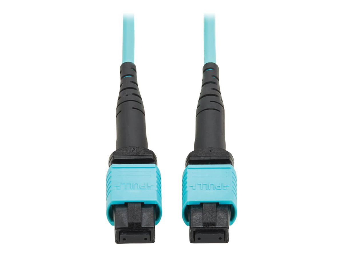 Eaton Tripp Lite Series 100G Multimode 50/125 OM4 Fiber Optic Cable 12F MPO