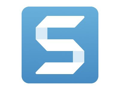 Snagit - Business subscription license extension (1 year) - 1 user