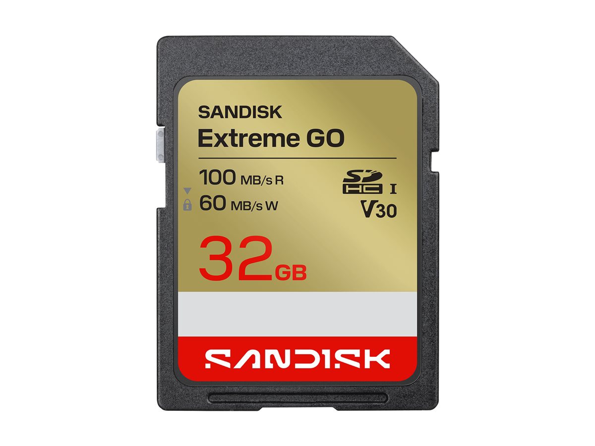 SanDisk Extreme Go - flash memory card - 32 GB - SDHC UHS-I