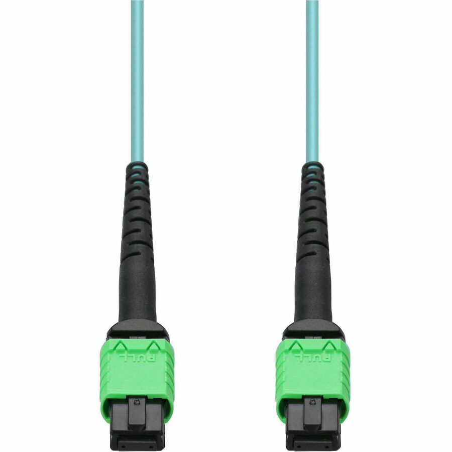Proline 7m MPO/APC to MPO/APC Aqua OM4 LSZH 12-Strand Fiber Patch Cable, MM