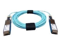 Dell 100GBase direct attach cable - 10 m