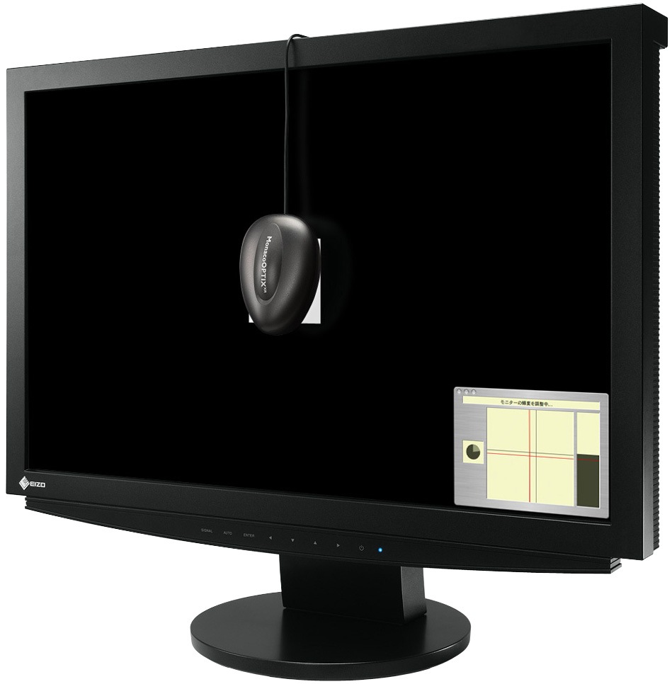 EIZO CE240W 24" WIDE DVI