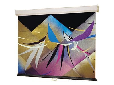 Draper Luma spring-roller projection screen