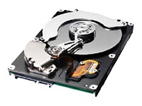Samsung SpinPoint P80SD hard drive - 80 GB - SATA-300