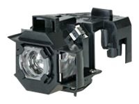 Epson V13H010L36