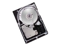 Maxtor Atlas 15K II SAS - hard drive - 147.1 GB - SAS