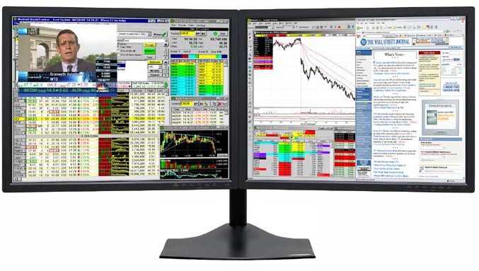 Digital Tigers Zenview Duo 21S
