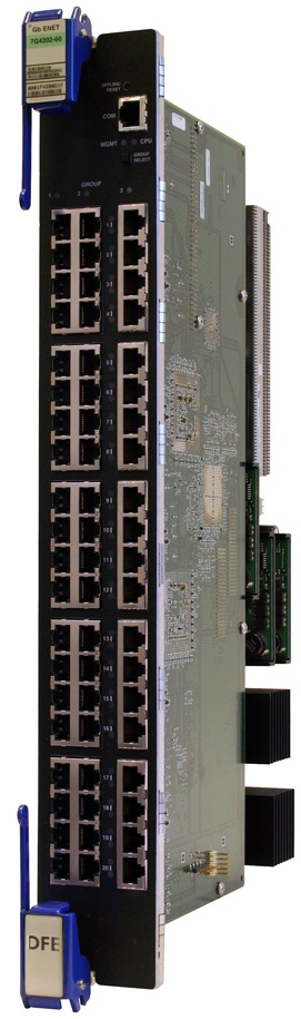 Enterasys Distributed Forwarding Engine (Platinum) 

