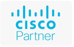 Cisco Collaboration Flex Plan Calling Access - On-Premise license - 1 named user