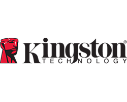 Kingston XS1000 Portable SSD