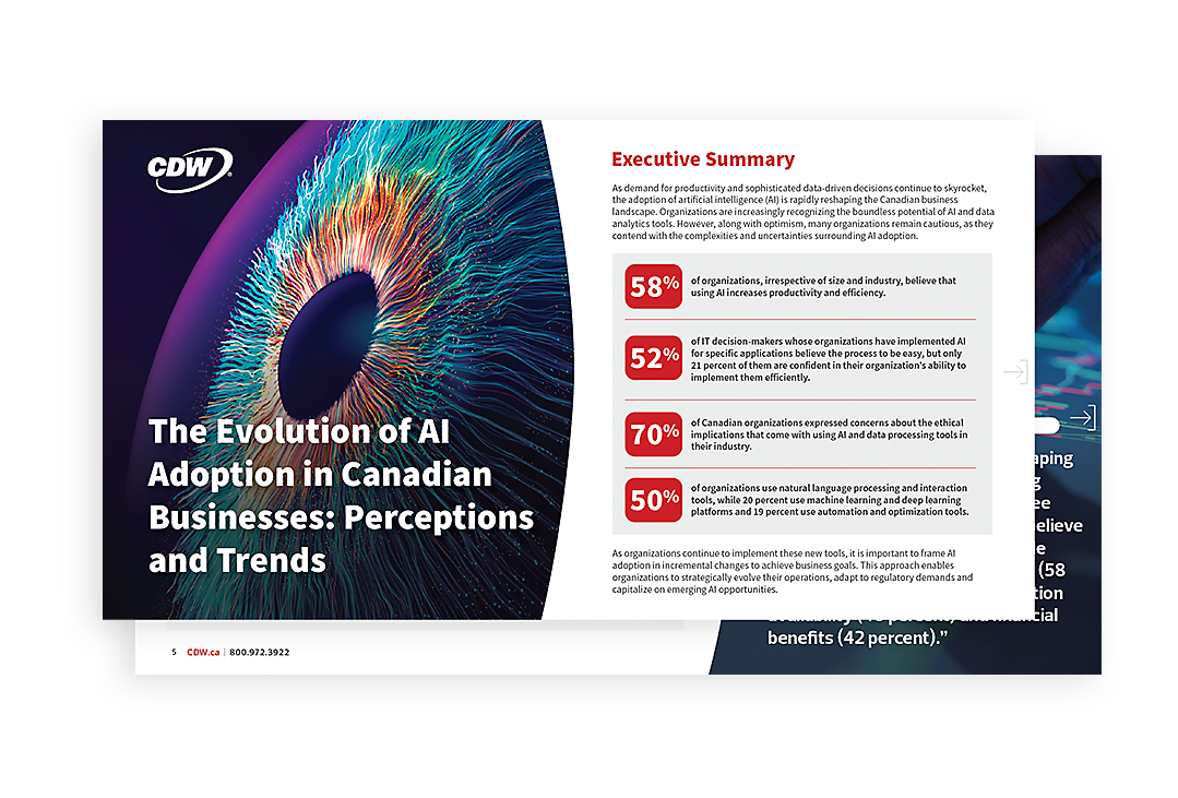 Download our 2024 AI and Data Analytics Report