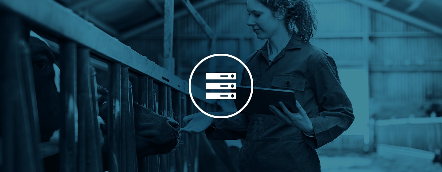 CDW Executive SummIT Series Building on Today’s Technology to Enable