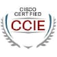 Expert certifié en interréseautage de Cisco – Sécurité (Sécurité CCIE)