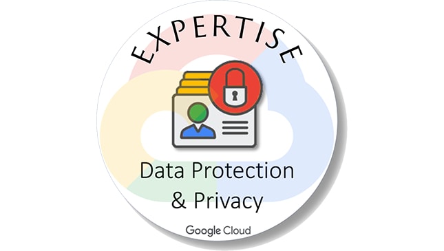 Google Data Protection and Privacy Icon
