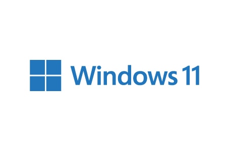 Windows 11