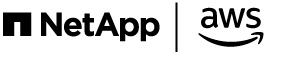 NetApp & AWS Logo