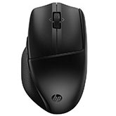 HP accessory mouse.