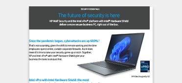 PDF OPENS IN A NEW WINDOW: view Security Brief
