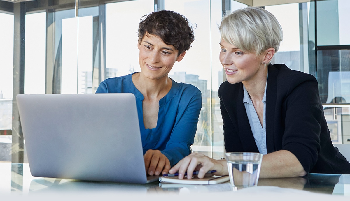 Two coworkers using laptop in bright office.