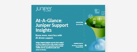 PDF OPENS IN NEW WINDOW: View the infographic on Juniper Apstra