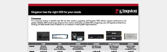 PDF OPENS IN A NEW WINDOW: Read Kingston SSD flyer