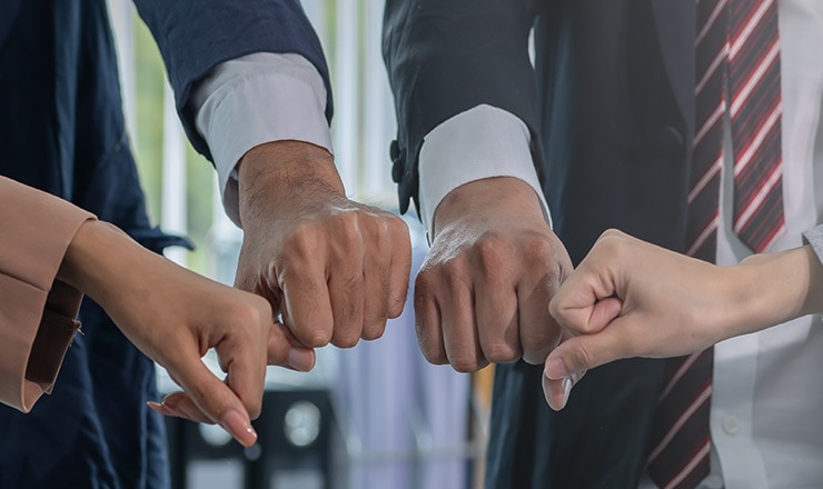 Large Oak tree sits atop a sunny hill with green grass