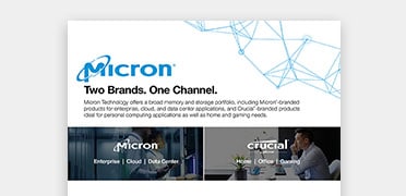 Micron: Two Brands. One Channel.