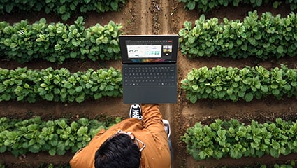 Person walking through field of green plants holding Surface device.