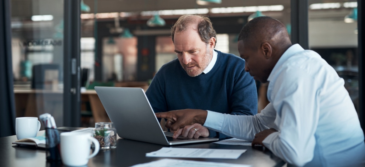 IT specialist reviewing information with a co-worker on laptop.